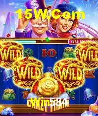 Login Seguro Win584